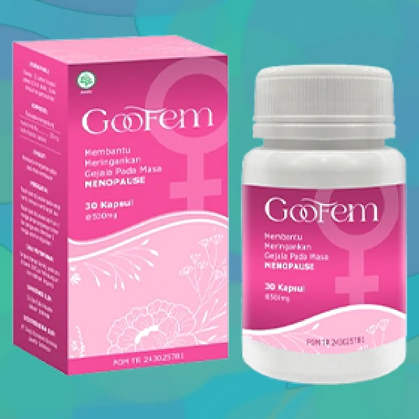 GOOFEM